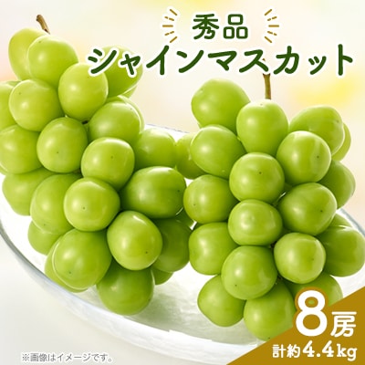 シャインマスカット(8房)【配送不可地域：離島】