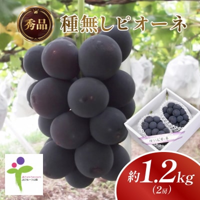 種なしピオーネ(2房)/80【配送不可地域：離島】