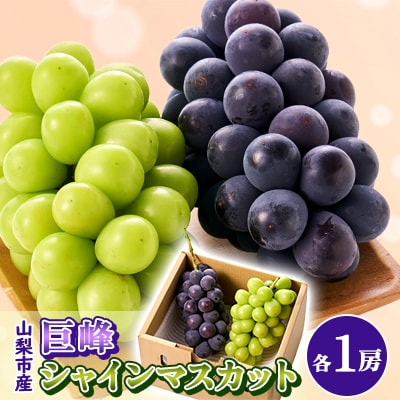 【2026年先行受付】大人気!巨峰・シャインマスカット食べ比べセット ふるさと納税 　【配送不可地域：離島・沖縄県】