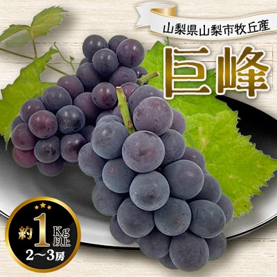2026年先行予約 山梨県山梨市牧丘産 巨峰 約1.0Kg以上 2～3房【配送不可地域：離島】