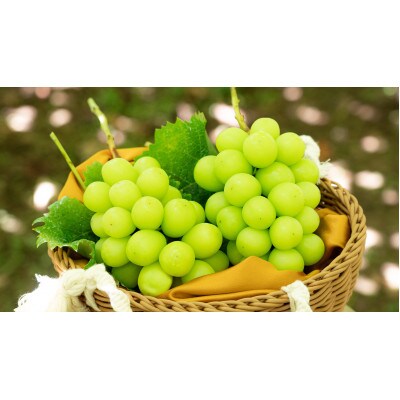 【2026年先行受付】農家直送のシャインマスカット2kg【配送不可地域：離島】