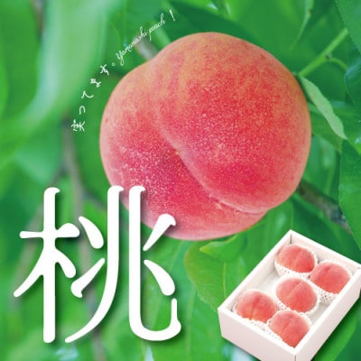 【2026年 先行受付】日本一の桃の里 山梨直送!完熟桃4～6玉  約1.5kg ギフト化粧箱入り【配送不可地域：離島・沖縄県】