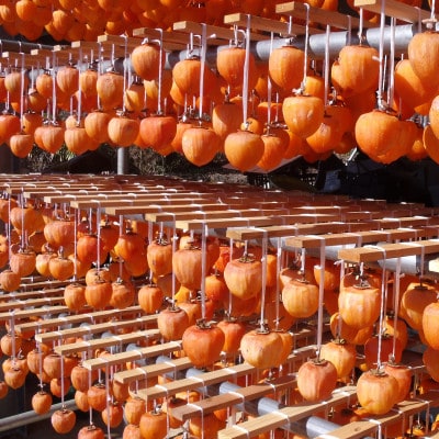 甲州名産「枯露柿」L～LLサイズ16個入り～20個入り　1.2kg以上