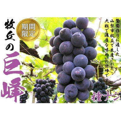 2026年先行受付8月下旬より順次発送巨峰の丘巨峰のプロがお届けする巨峰(種なし)2房(1kg以上)【配送不可地域：離島】