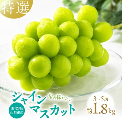 【2026年発送先行受付】山梨県山梨市産　特選　旬の採れたてシャインマスカット約1.8kg　3～5房【配送不可地域：離島】