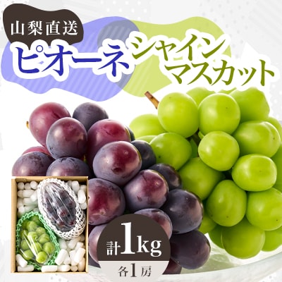 【2026年先行受付】大人気ぶどう2種盛り合わせ　シャインマスカット・ピオーネ　計1kg以上【配送不可地域：離島】