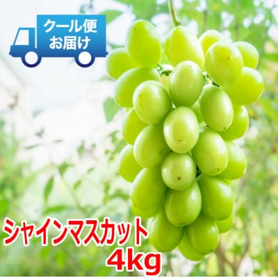安心のクール便発送　シャインマスカット 4kg (6～8房)【配送不可地域：離島・北海道・沖縄県・中国・四国・九州】