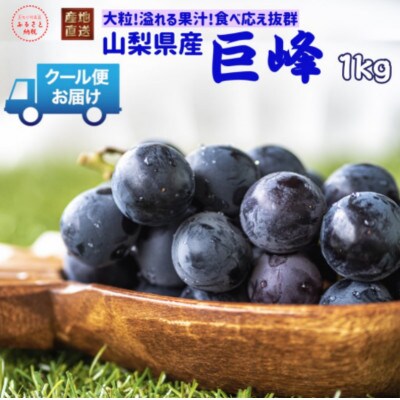安心のクール便発送　山梨県産　巨峰 1kg(2房)【配送不可地域：離島・北海道・沖縄県・中国・四国・九州】