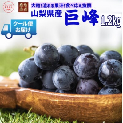 安心のクール便発送　山梨県産　巨峰 1.2kg(2房)【配送不可地域：離島・北海道・沖縄県・中国・四国・九州】