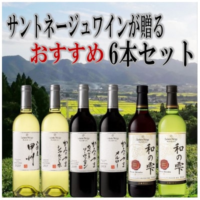 ワイン サントネージュワインが贈る おススメ 6本 セット