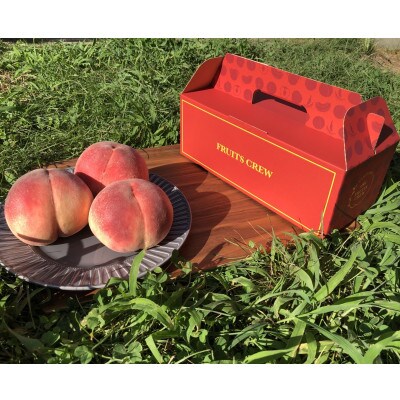 人気ゴールデン番組で話題沸騰!桃通が好む硬甘桃お試し約1kg8月中旬より発送【配送不可地域：離島・北海道・沖縄県・中国・四国・九州】