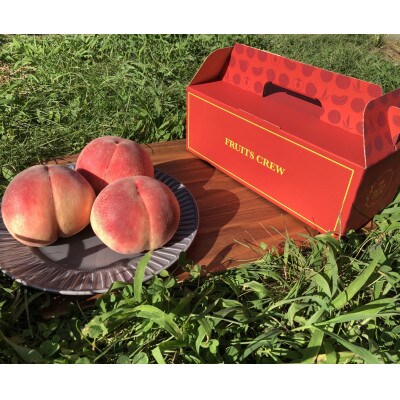 人気ゴールデン番組で話題沸騰!桃通が好む硬甘桃お試し約1kg8月下旬より発送【配送不可地域：離島・北海道・沖縄県・中国・四国・九州】