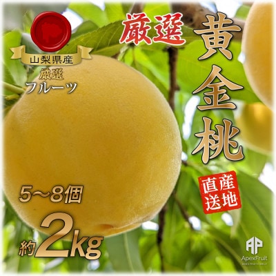 【2026年先行予約】山梨市産　黄金桃　約2kg(5～8玉)【配送不可地域：離島】