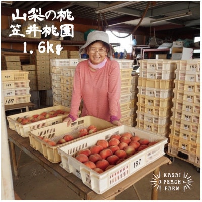 【2026年発送先行受付】厳選朝採り桃 山梨の笠井桃園の桃 1.6kg【配送不可地域：離島】