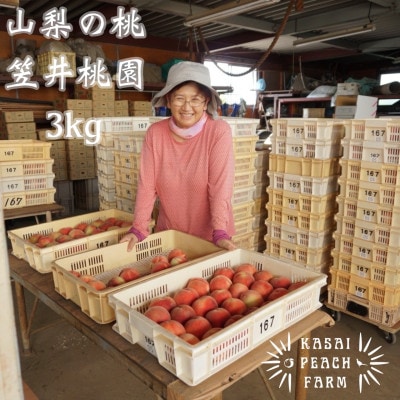 【2026年発送先行受付】厳選朝採り桃 山梨の笠井桃園の桃 3kg【配送不可地域：離島】