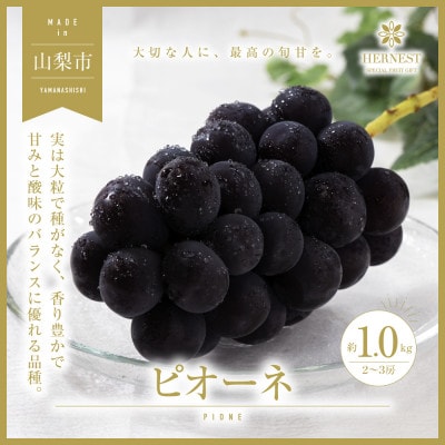 【2026年発送先行受付】山梨県山梨市産　旬の採れたてピオーネ　約1kg　2～3房【配送不可地域：離島】