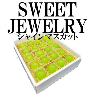 【2026年度先行受付】山梨県山梨市産　シャインマスカット　～SWEET JEWELRY～　20粒【配送不可地域：離島】