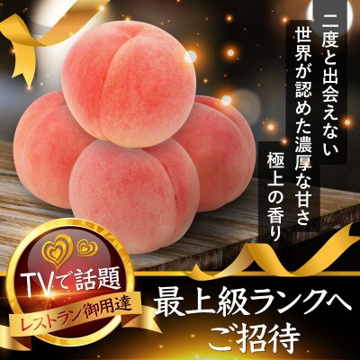 【海外セレブの嗜好品】わずか5%しか許されない糖度16度以上樹上完熟ブランド桃2026年8月中旬発送【配送不可地域：離島・北海道・沖縄県・中国・四国・九州】