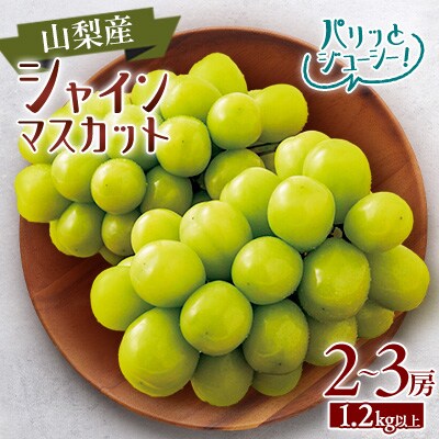 【2026年発送】山梨市産　シャインマスカット　2～3房(1.2kg以上)【配送不可地域：離島】