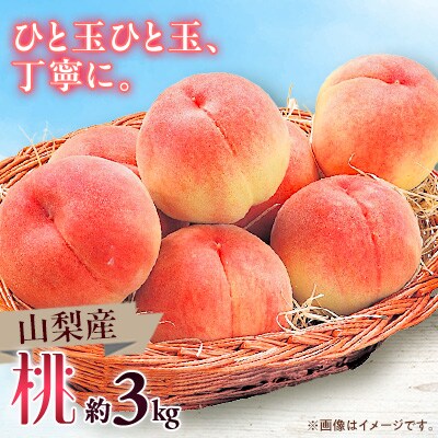 【2026年発送】山梨市産　桃　約3kg【配送不可地域：離島】