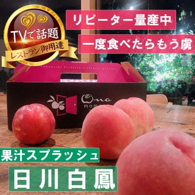 【果汁スプラッシュ日川白鳳】人気品種指定ギフト5年連続TV出演話題ブランド桃2026年6月下旬発送【配送不可地域：離島・北海道・沖縄県・中国・四国・九州】