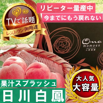【果汁スプラッシュ日川白鳳】人気品種指定ギフト5年連続TV出演話題ブランド桃2026年6月下旬発送【配送不可地域：離島・北海道・沖縄県・中国・四国・九州】