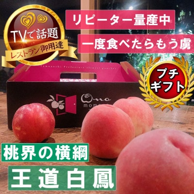 【桃界の横綱キング白鳳】人気品種指定ギフト5年連続TV出演話題ブランド桃2026年7月上旬発送【配送不可地域：離島・北海道・沖縄県・中国・四国・九州】