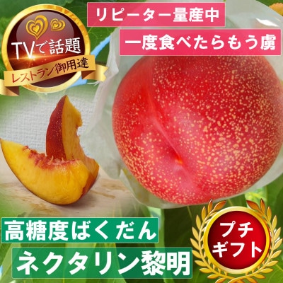 【高糖度ばくだんネクタリン黎明】桃グランプリ日本一受賞＆5年連続TV出演で話題2026年7月中旬発送【配送不可地域：離島・北海道・沖縄県・中国・四国・九州】
