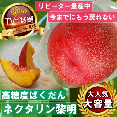 《高糖度ばくだんネクタリン黎明》桃グランプリ日本一受賞＆5年連続TV出演で話題2026年7月中旬発送【配送不可地域：離島・北海道・沖縄県・中国・四国・九州】