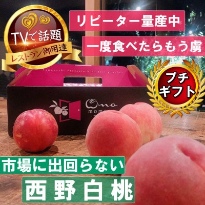 【市場に出回らないレアな西野白桃】人気品種指定ギフト5年連続TV出演話題ブランド2026年7月中旬発【配送不可地域：離島・北海道・沖縄県・中国・四国・九州】