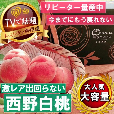《市場に出回らないレアな西野白桃》人気品種指定ギフト5年連続TV出演話題ブランド2026年7月中旬発【配送不可地域：離島・北海道・沖縄県・中国・四国・九州】