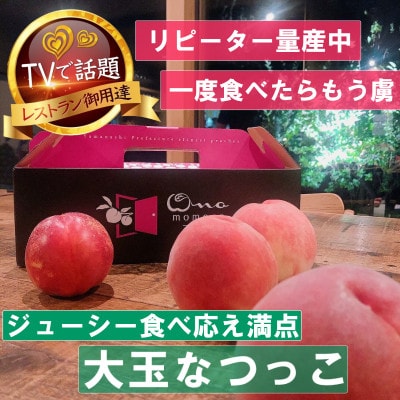 【大玉ジューシーなつっこ】人気品種指定ギフト5連続TV出演話題ブランド2026年8月上旬発送【配送不可地域：離島・北海道・沖縄県・中国・四国・九州】