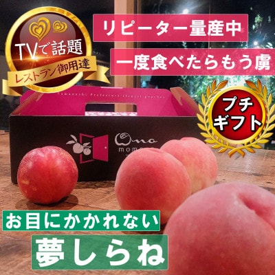 【滅多にお目にかかれない夢しらね】人気品種指定ギフト5年連続TV出演話題ブランド2026年7月下旬～【配送不可地域：離島・北海道・沖縄県・中国・四国・九州】