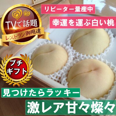 【激レア縁起深い白い桃の甘々燦々】人気品種指定ギフト5年連続TV出演話題ブランド2026年8月下旬～【配送不可地域：離島・北海道・沖縄県・中国・四国・九州】