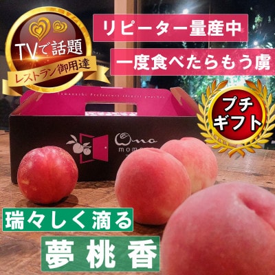 【瑞々しく滴る次世代を担う夢桃香】人気品種指定ギフト5年連続TV出演話題ブランド2026年7月上旬～【配送不可地域：離島・北海道・沖縄県・中国・四国・九州】