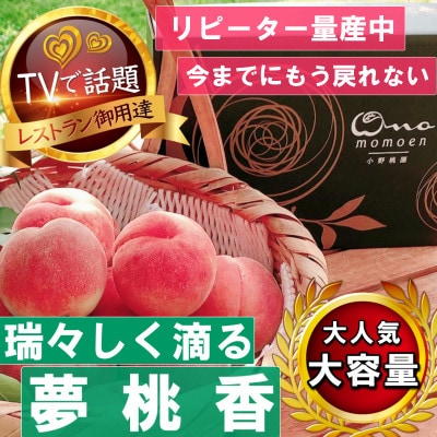 《瑞々しく滴る次世代を担う夢桃香》人気品種指定ギフト5年連続TV出演話題ブランド2026年7月上旬～【配送不可地域：離島・北海道・沖縄県・中国・四国・九州】
