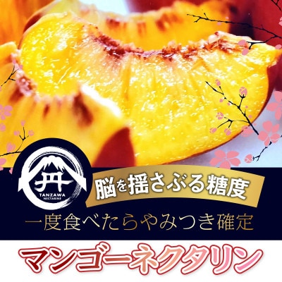 【一度食べたらもう戻れない】マンゴーネクタリンやみつきリピーター続出中2026年7月上旬より発送【配送不可地域：離島・北海道・沖縄県・中国・四国・九州】