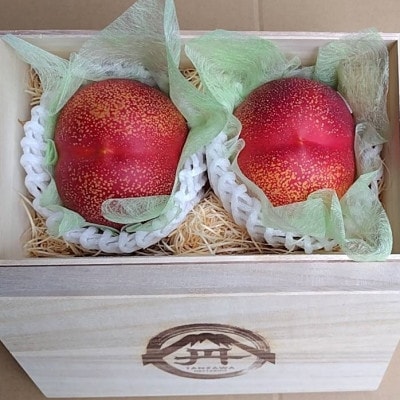 【大切な方に選ばれる贈り物】最高糖度25度比類なき絶対糖度シャトーネクタリン2026年7月中旬発送【配送不可地域：離島・北海道・沖縄県・中国・四国・九州】