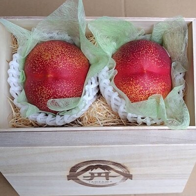 【ご先祖様へ最高のお盆贈り物】最高糖度25度比類なき絶対糖度シャトーネクタリン2026年8月上旬発送【配送不可地域：離島・北海道・沖縄県・中国・四国・九州】