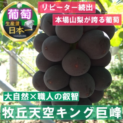 【2026年先行受付】2026年9月下旬発送「幻の牧丘天空キング巨峰」 約1kg(2～3房)【配送不可地域：離島・沖縄県】
