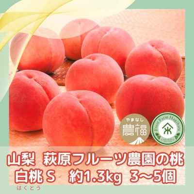 【2026年先行予約】山梨・萩原フルーツ農園の白桃　S (約1.3kg/3～5個)【配送不可地域：離島】