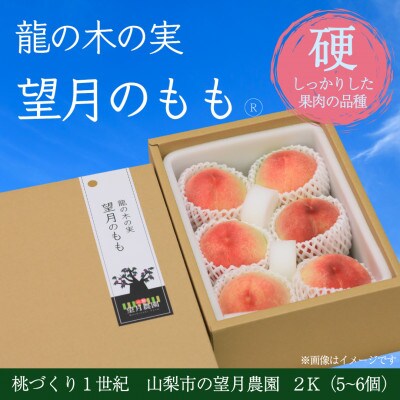 【2026年先行予約】硬めの品種の桃・2K(5~6個)「龍の木の実 望月のもも」【配送不可地域：離島・沖縄県】