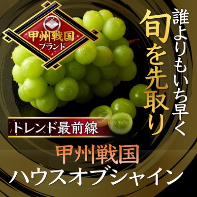 【旬を先取り】最高糖度20度オーバー贈答用プレミアム甲州戦国ハウスオブシャイン2026年6月中旬発送【配送不可地域：離島】