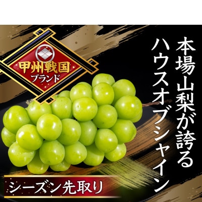 【1年で今しか食べられない】幻のハウスオブシャインマスカット心行くまで堪能2026年6月上旬発送【配送不可地域：離島】