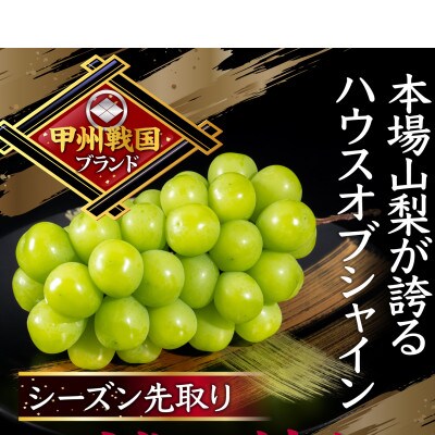 【本場山梨の旬を堪能】今逃せば1年待ちの幻のハウスオブシャインマスカット2026年6月中旬発送【配送不可地域：離島】