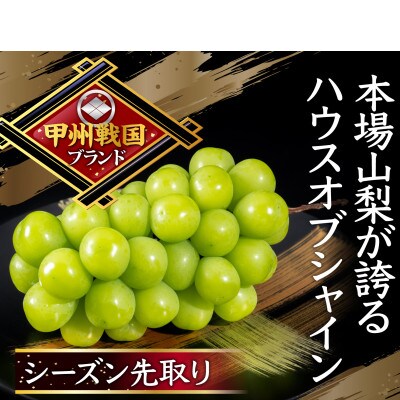 【幻のハウスオブシャインマスカット】今の時期しか収穫できない幻の逸品2026年6月下旬より発送【配送不可地域：離島】