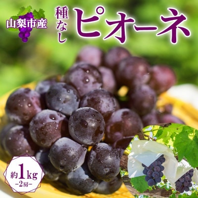 〈2026年先行予約〉甘みと酸味のバランスが絶妙!「山梨県山梨市産 大房 ピオーネ 2房 約1kg」【配送不可地域：離島・沖縄県】