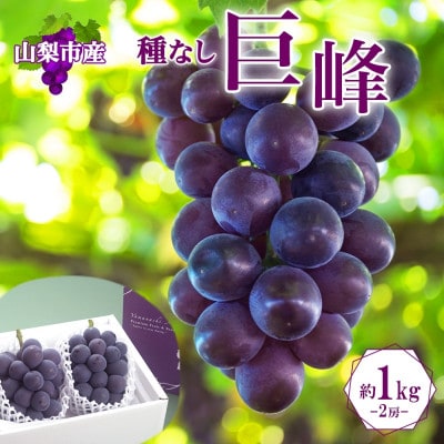 〈2026年先行予約〉濃厚な味わいが特徴!「山梨県山梨市産の巨峰 2房 約1kg」【配送不可地域：離島・沖縄県】