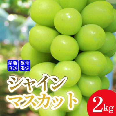 【産地直送】厳選高級シャインマスカット 2kg(3～4房)【配送不可地域：離島・沖縄県】