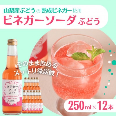 山梨産ぶどう100%の熟成ビネガーで造った!そのまま飲める「ビネガーソーダぶどう12本セット」